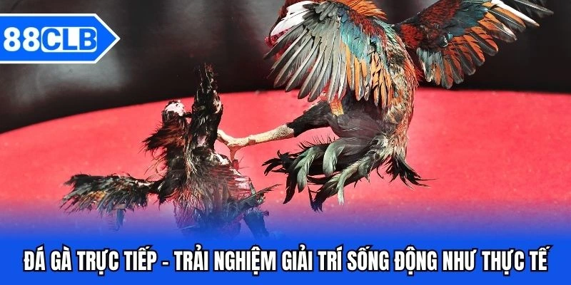 đá gà trực tuyến