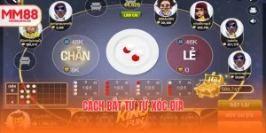 ảnh đại diện cách bắt tứ tử xóc đĩa